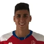 Raúl Navarro